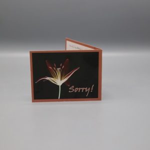 Sorry Card