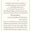 Bismillah ki Barakat | بسم اللہ کی برکات